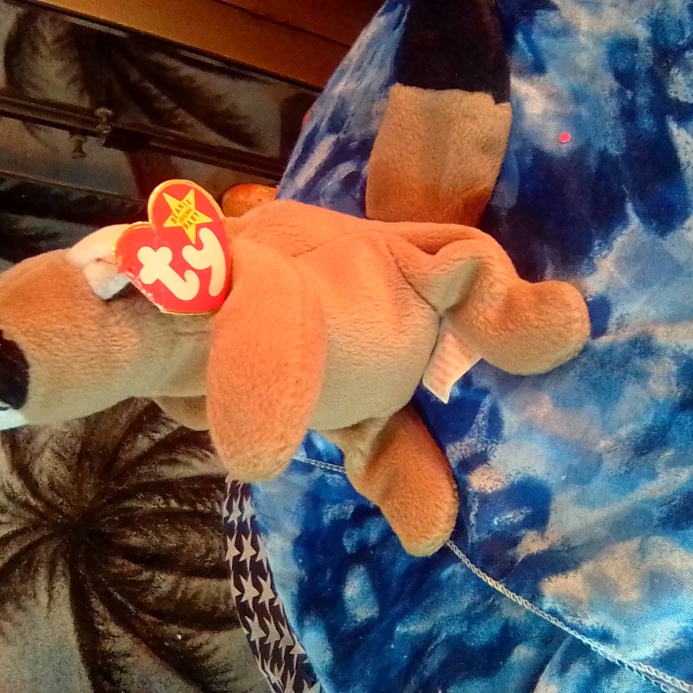 Ty beanie Ringo Raccoon 1996' PVC ERRORS - Picture 10 of 13